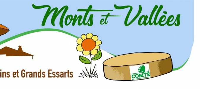 Cr&eacute;ation de logo pour professionnels pr&egrave;s de Colmar en Alsace Erstein