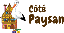 Cot&eacute; Paysan Schiltigheim