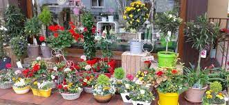 Fleurs Roller Ostwald